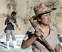 'La Tirisia'