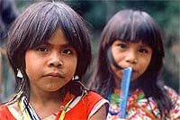 'Children of the Amazon' 'Children of the Amazon'
